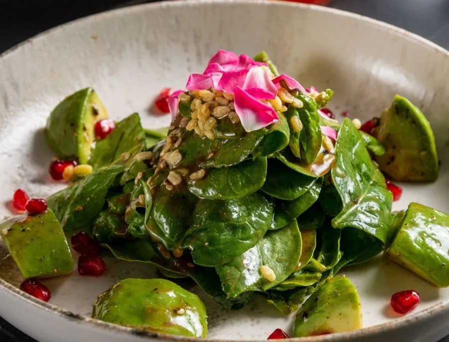 Vegetarian Healthy Indian in Putney – Cilantro Leads the Way